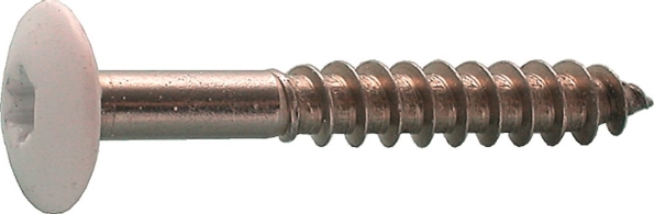 Afbeelding - https-www-ez-catalog-nl-Asset-fd4de966107f4f66b887f8b9a4cc2498-ImageFullSize-5525803-jpg